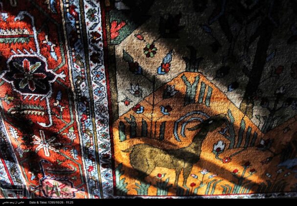 Carpet