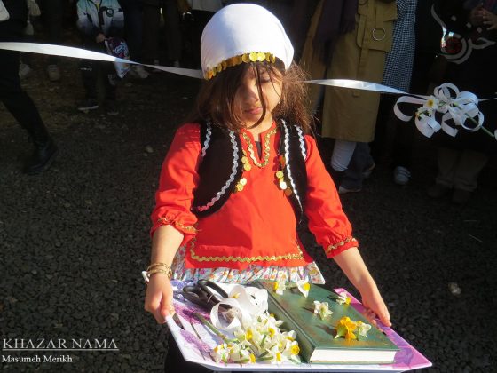 Daffodil extravaganza unfolds in Iran’s Juibar, Mazandaran Province